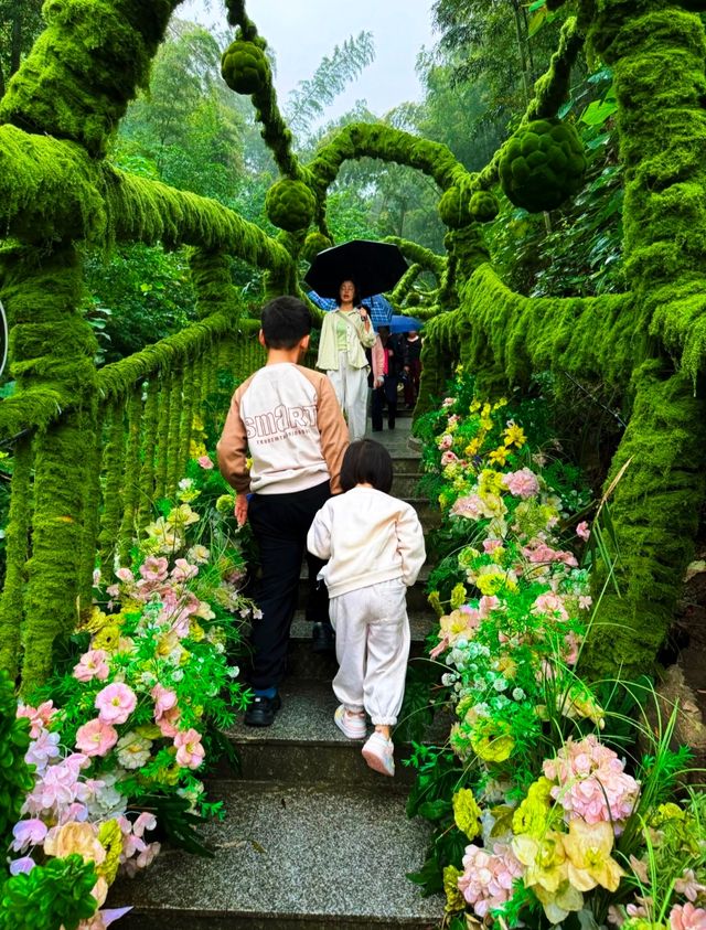 桃花江竹海遊玩攻略：竹知道，你該來浪了！