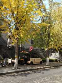 孔府外牆半壁街，初冬打卡聖地