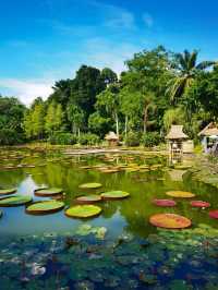 西雙版納三日遊