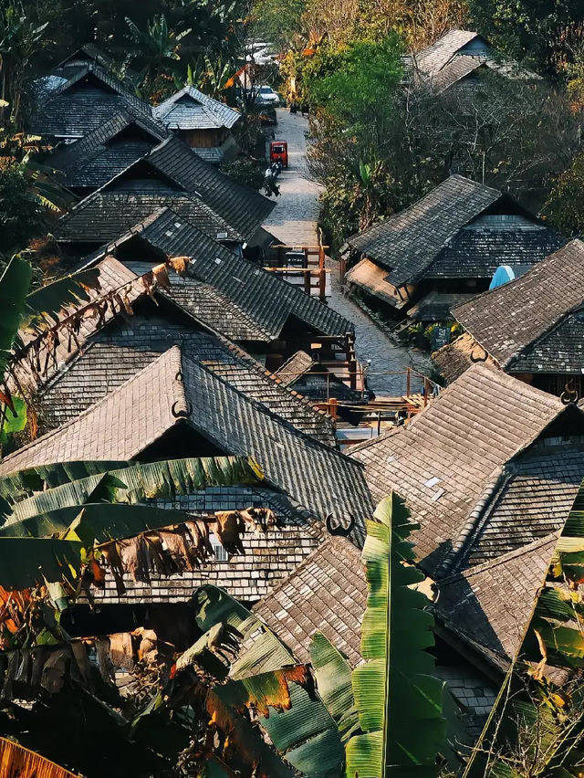 為一口千年茶香，奔赴景邁山糯乾古寨的治癒時光
