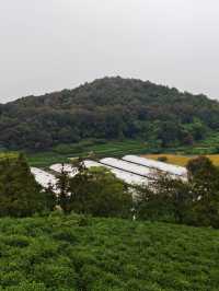 黃家山景，幽靜之中的自然詩篇。