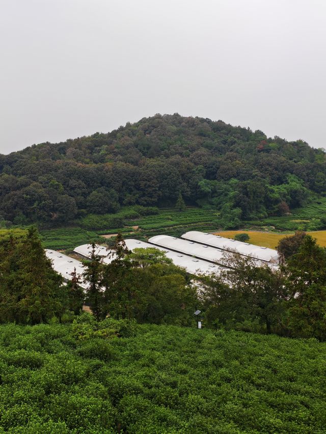 黃家山景，幽靜之中的自然詩篇。