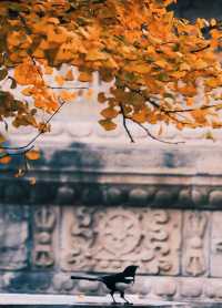 稷山縣是一個擁有豐富旅遊資源的地方