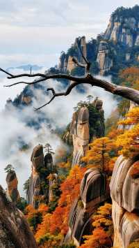 秋日三清山｜在雲海紅葉間邂逅神仙日子