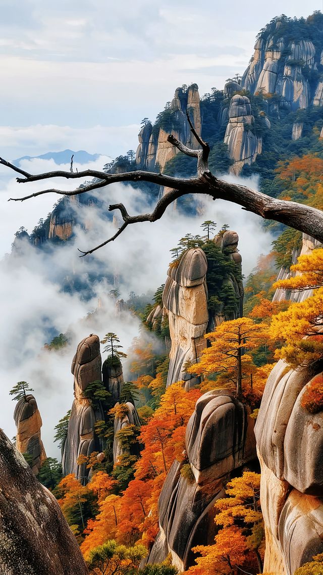 秋日三清山｜在雲海紅葉間邂逅神仙日子