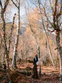 來回9小時，值回票價到喊晒！松坪溝嘅秋天簡直係神級啦