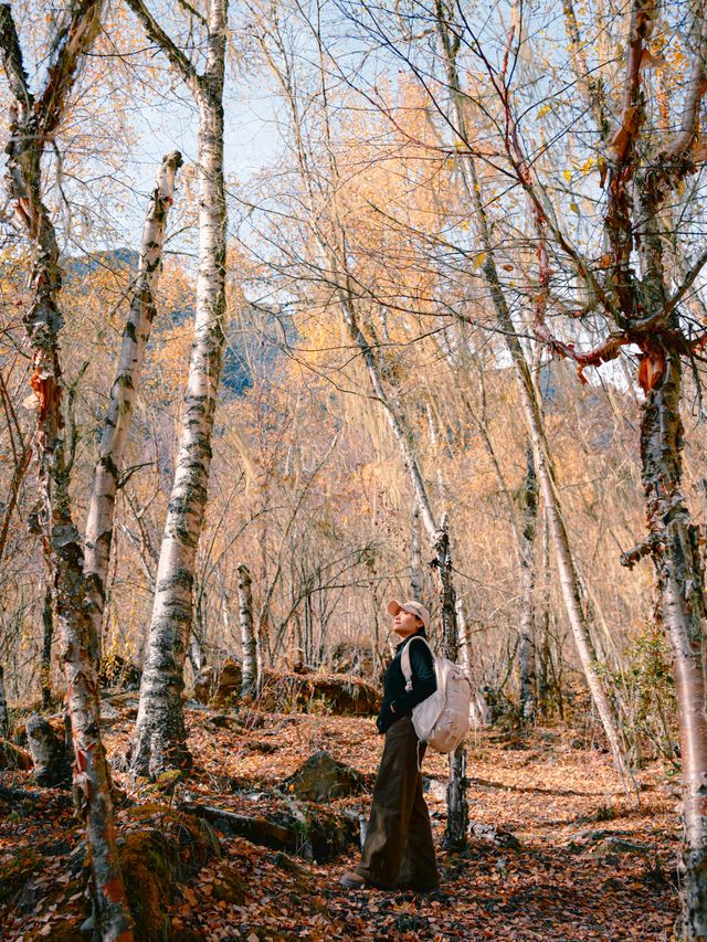 來回9小時，值回票價到喊晒！松坪溝嘅秋天簡直係神級啦