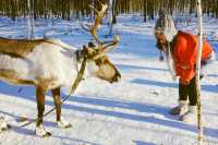 漠河3天2晚純玩遊|極光之旅 純玩品質團