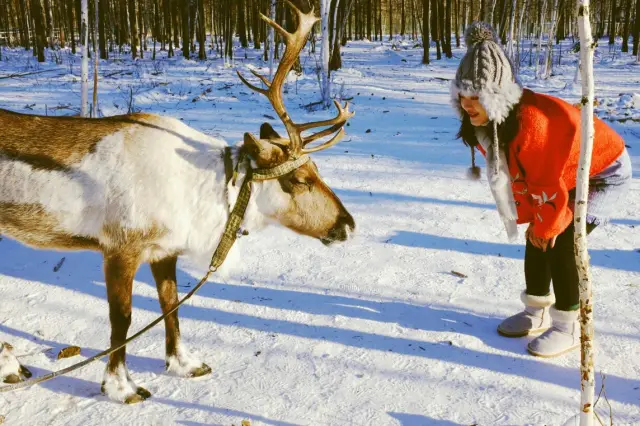 漠河3日2泊純粋な遊びの旅｜オーロラの旅 純粋な品質ツアー