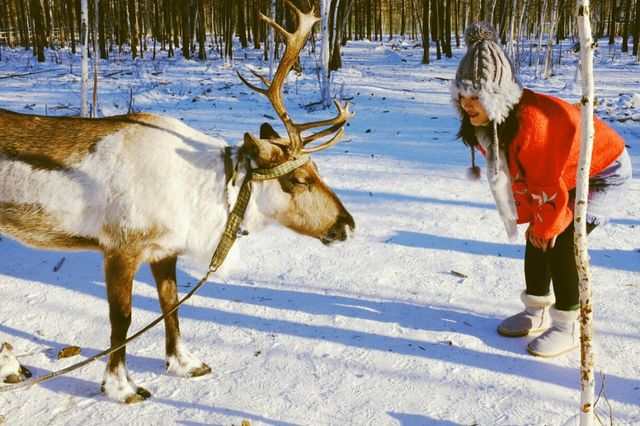 漠河3天2晚純玩遊|極光之旅 純玩品質團