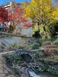 四明山的秋，是上帝打翻的調色盤