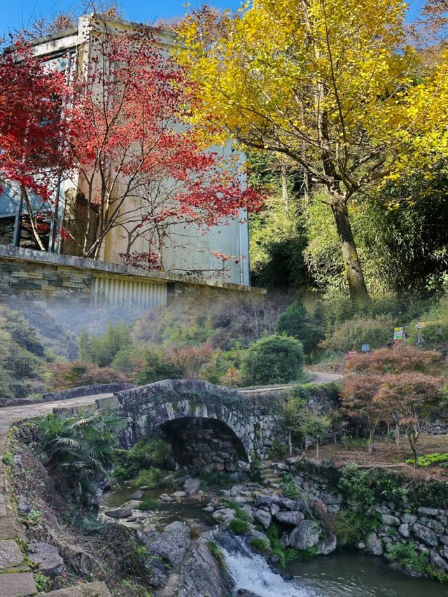 四明山的秋，是上帝打翻的調色盤