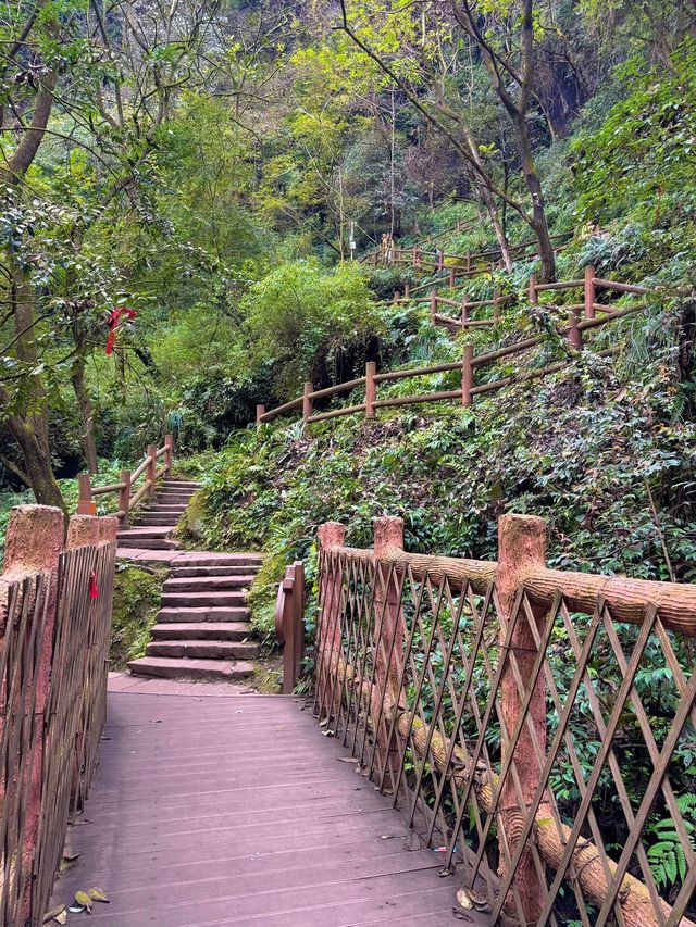 帶娃吸氧去!成都1.5h直達的森林徒步路線