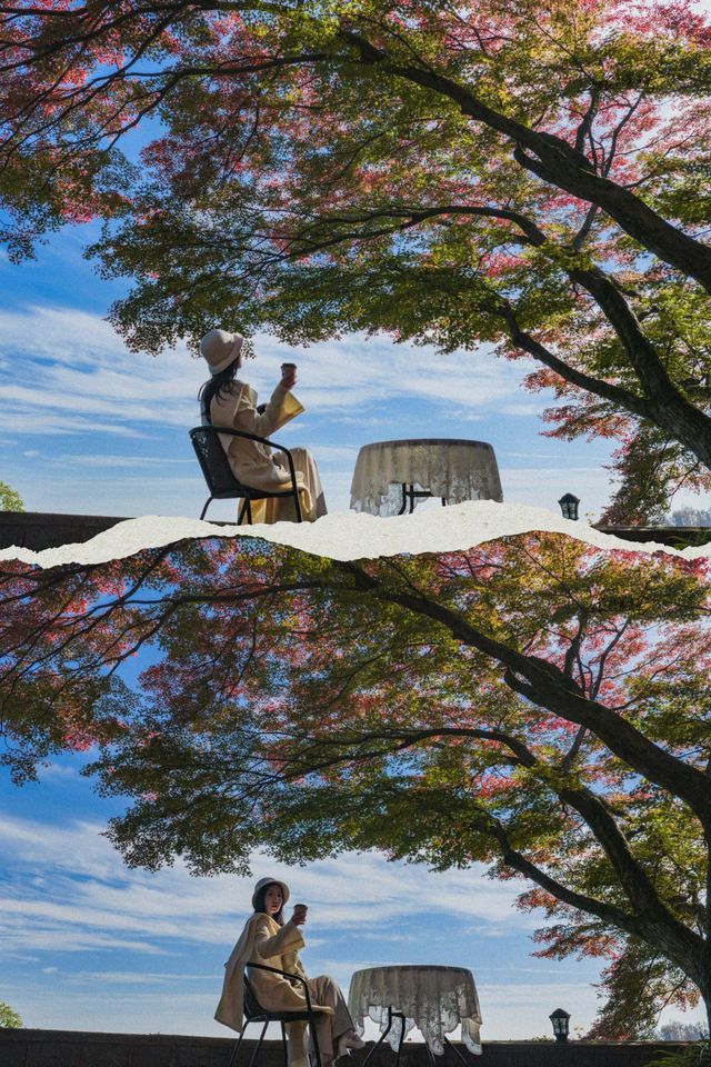 莫干山賞楓 | 五個絕美機位，開啟秋日浪漫之旅