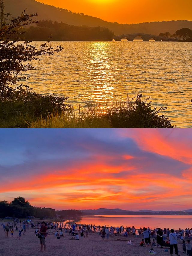 無錫免費躺平寶地！蠡湖渤公島逛吃一整天，紅嘴鷗+湖景絕了