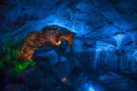 武隆芙蓉洞再現“巴山夜雨”