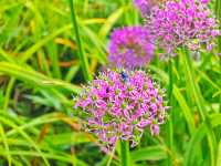 藏在貴州的 “高山小草原”，騎馬看雲超治癒！  貴州一處能 “假裝在內蒙古” 的寶藏地 —— 二台坡