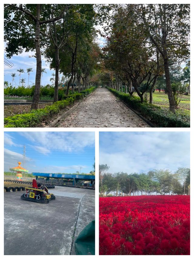 《廣東隱藏的「遛娃天堂」！20元和海獅貼臉殺，78元玩遍動物