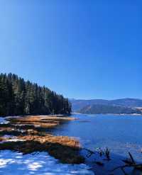 雲南秋日封神!普達措私藏玩法,避開人潮邂逅童話秘境
