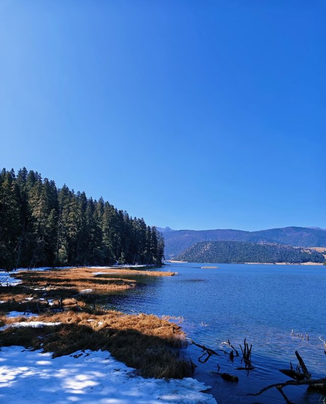 雲南秋日封神!普達措私藏玩法,避開人潮邂逅童話秘境 雲南秋日封神!普達措私藏玩法,避開人潮邂逅童話秘境