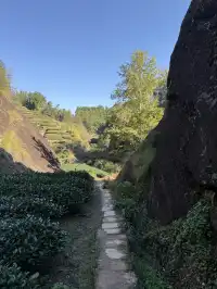 福建武夷山,徒步在最美茶道,看盡丹霞風貌