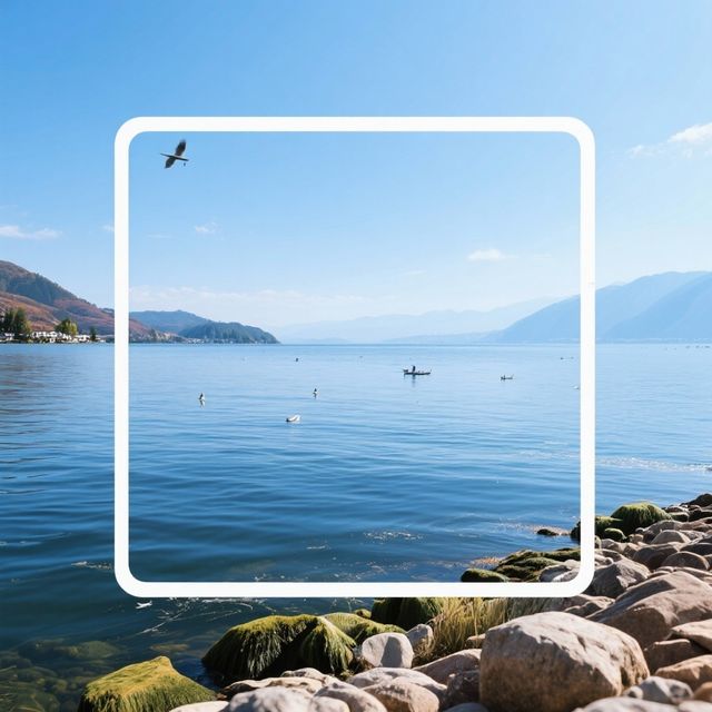 雲南寶藏之旅 雲南寶藏之旅