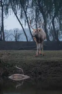 鹽城丨朋友都以為我去了肯尼亞
