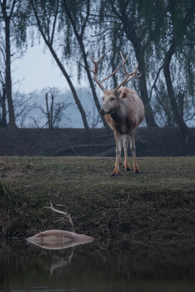 鹽城丨朋友都以為我去了肯尼亞 鹽城丨朋友都以為我去了肯尼亞