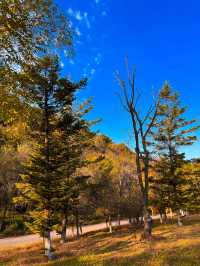 瀋陽必爬棋盤山攻略