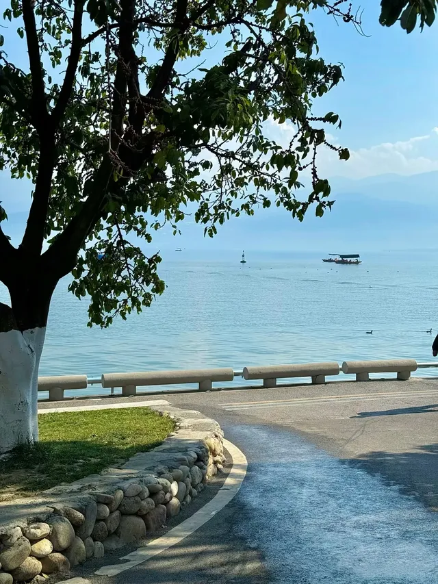 西昌濟州島分導拍照