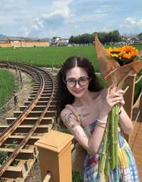 秋遊必看昆明等地攻略直接抄作業