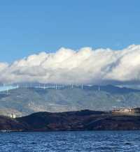 秋遊必看昆明等地攻略直接抄作業