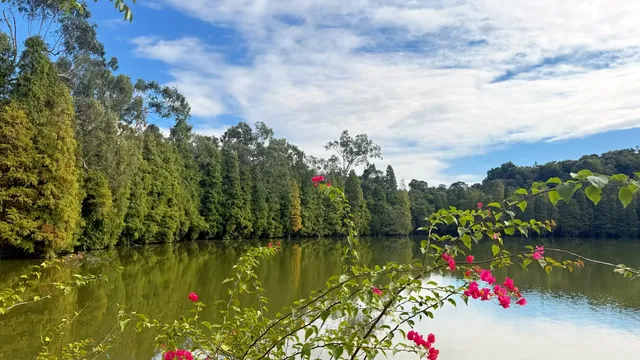社恐狂喜！東門早8點入園我承包了整片天柱岩