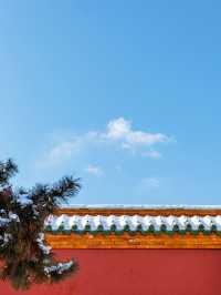 北方限定浪漫!瀋陽的雪景封神了