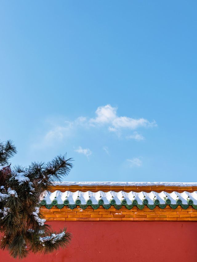 北方限定浪漫!瀋陽的雪景封神了 北方限定浪漫!瀋陽的雪景封神了