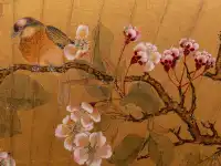 為了欣賞它，值得一去再去