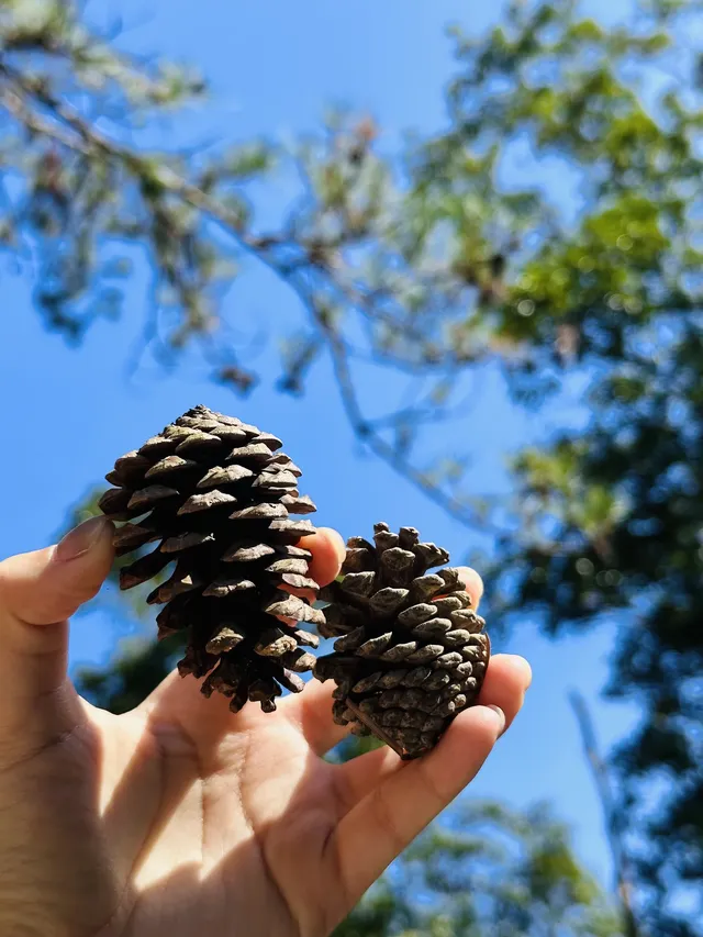 每週一山｜藏在江門的治癒系神山！