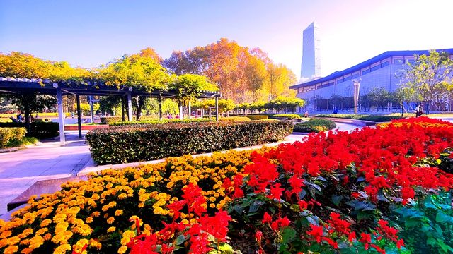 斑斕調色盤,律動生活詩--武漢解放公園秋色 斑斕調色盤,律動生活詩--武漢解放公園秋色