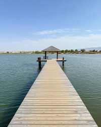 沙漠看海奇幻旅|一半沙漠一半湖的塞北秘境