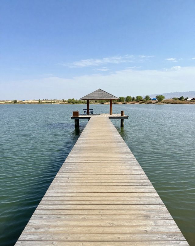 沙漠看海奇幻旅|一半沙漠一半湖的塞北秘境 沙漠看海奇幻旅|一半沙漠一半湖的塞北秘境