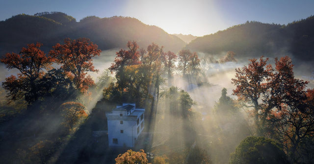婺源石城秋日行攝全攻略｜沉浸於紅葉晨霧的水墨畫境