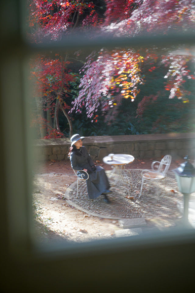 一眼封神,莫干山500年楓樹驚艷整個秋天 一眼封神,莫干山500年楓樹驚艷整個秋天