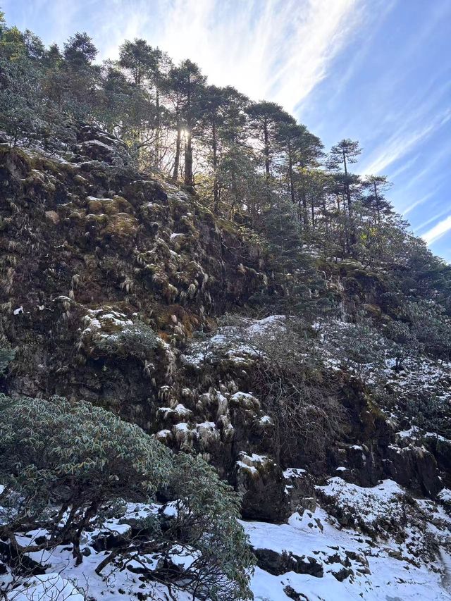 剛從轎子雪山回來,血淚教訓能救一個是一個 剛從轎子雪山回來,血淚教訓能救一個是一個