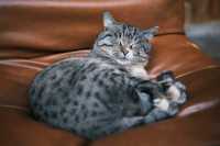 沙溪古鎮|找個安靜的地方放空