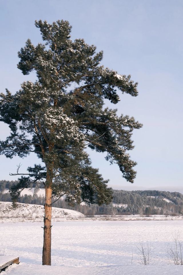 12月漠河,追光的約定 12月漠河,追光的約定
