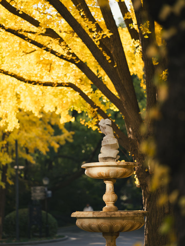清晨8點,我拍到了樹的呼吸聲! 清晨8點,我拍到了樹的呼吸聲!
