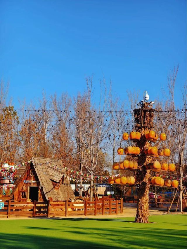 北京遛娃丨森林中的童話世界,地鐵直達!! 北京遛娃丨森林中的童話世界,地鐵直達!!