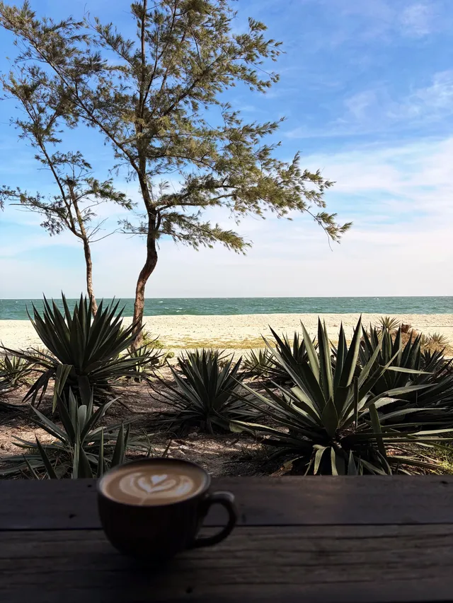 涠洲島|環島書店,就真的很chill 涠洲島|環島書店,就真的很chill