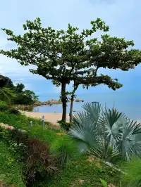 蘇梅島寶藏別墅｜人均海景+影院太讚