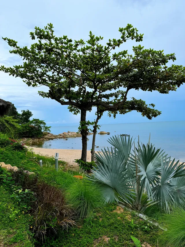 蘇梅島寶藏別墅｜人均海景+影院太讚